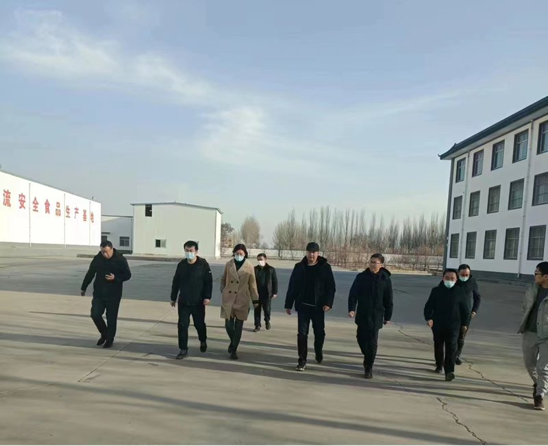 石嘴山市副市長、惠農(nóng)區(qū)委書記王宇翔蒞臨寧夏興康恒潤農(nóng)業(yè)科技發(fā)展有限公司調(diào)研