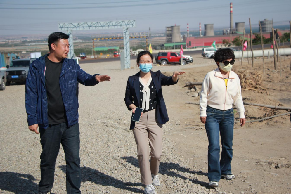 石嘴山市農業(yè)農村局副局長徐永霞、農經中心主任王曉斌一行蒞臨基地檢查指導