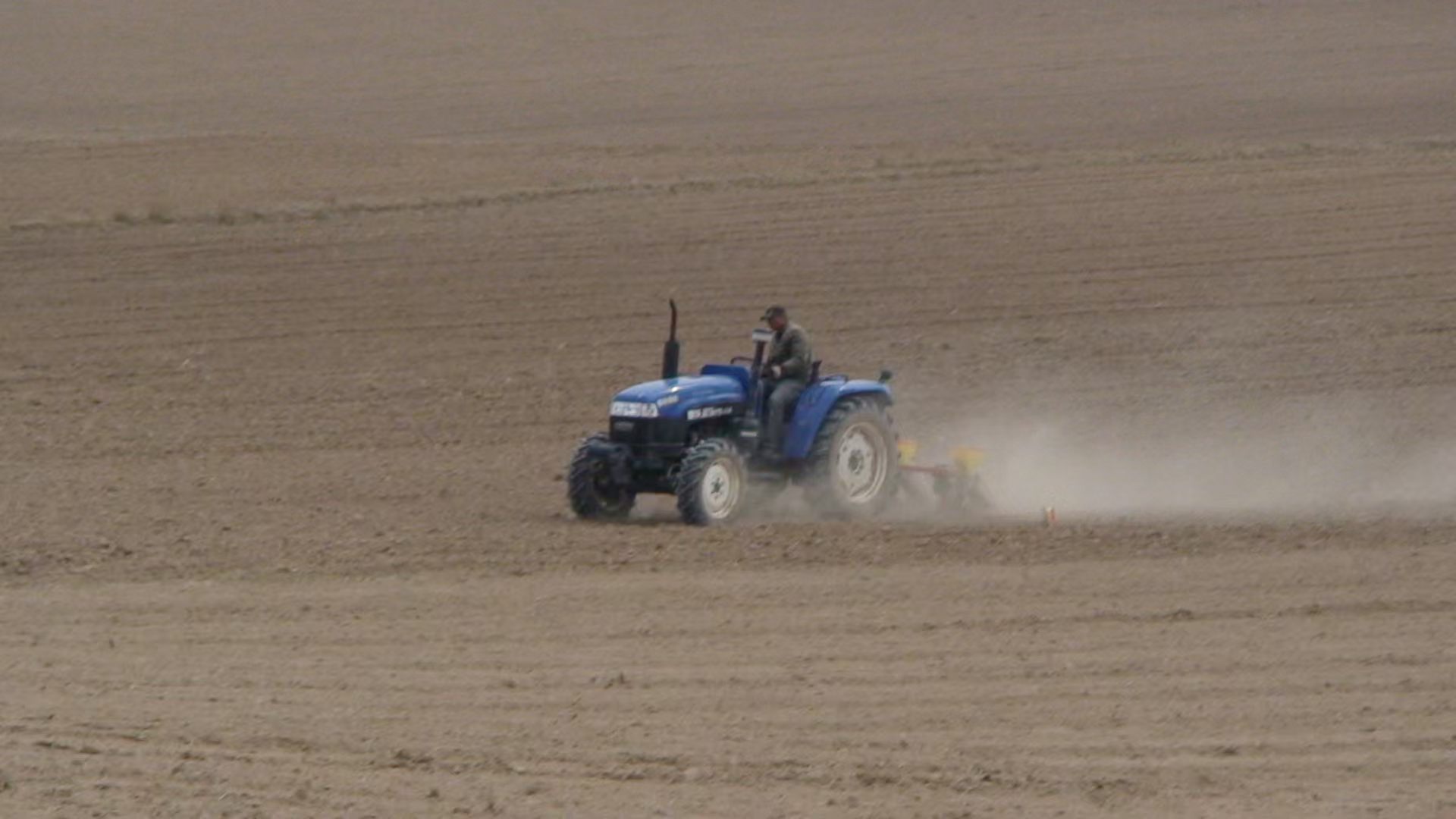 父親節(jié)特輯｜岳氏家族里的“父親力”：從血脈到事業(yè)，我們這樣讀懂“爸爸”